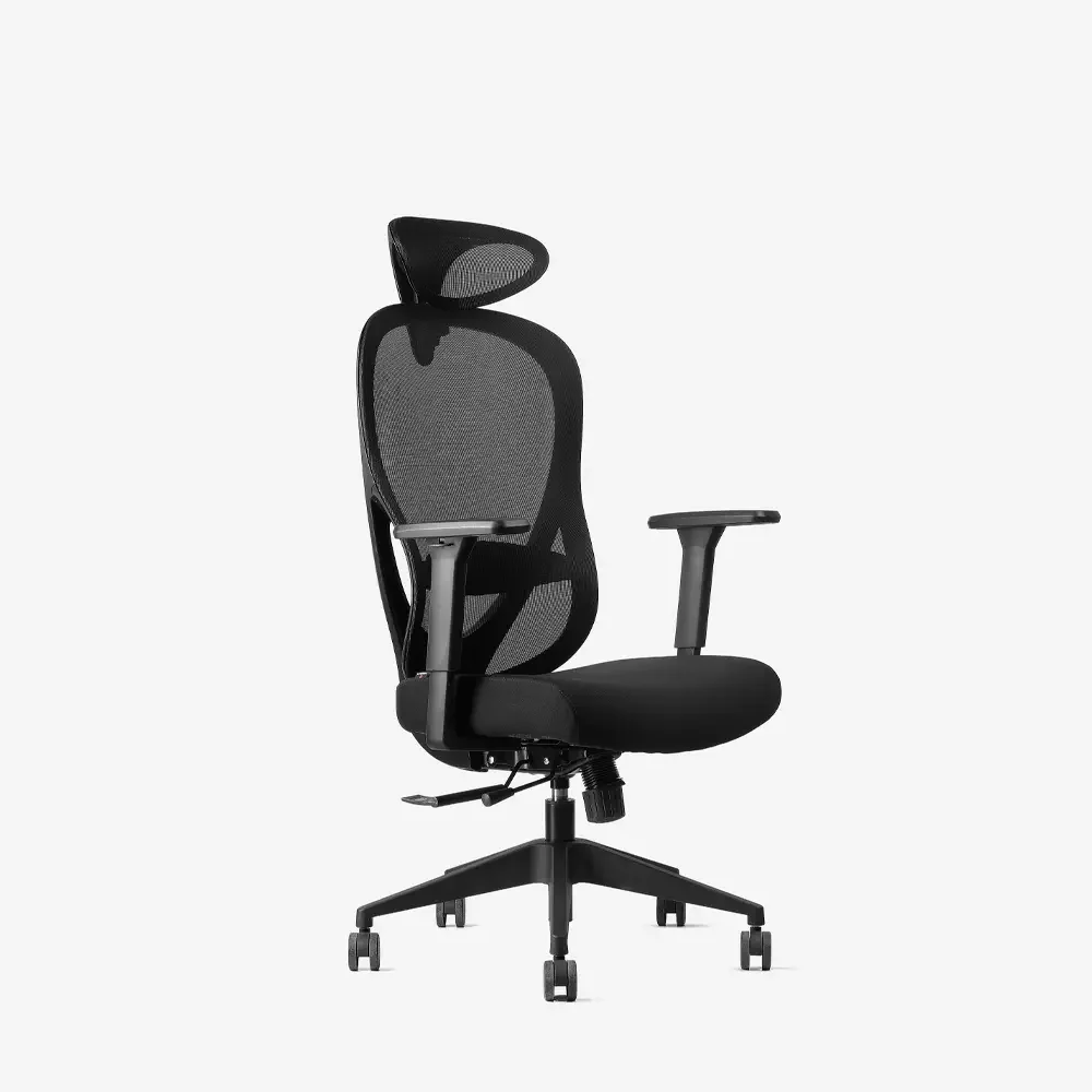 [NXAVA26CBLK] Neodax Ava Ergonomic Mesh Chair, Carbon Black